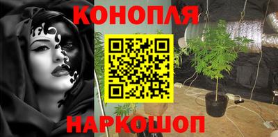 каннабис Новозыбков