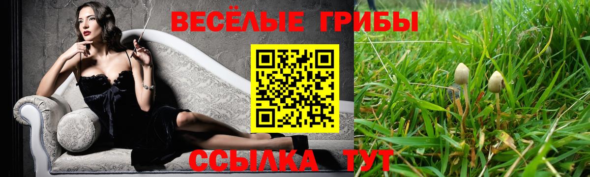 Тольятти  Псилоцибиновые грибы GOLDEN TEACHER  Псилоцибиновые грибы GOLDEN TEACHER  купить наркотики сайты  Вход с VPN 